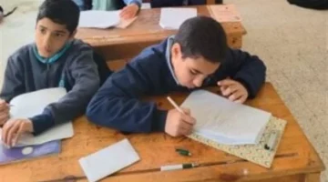 رابط مباشر.. نتائج سنوات النقل للمرحلتين الابتدائية والإعدادية لعام 2026 عبر بوابة التعليم